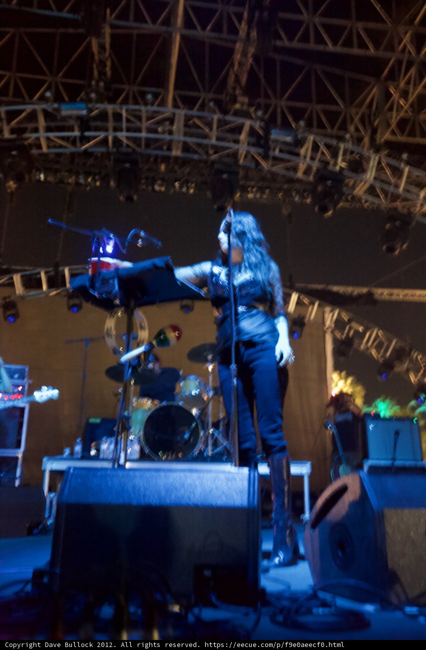 Entertainer Takes the Stage at Coachella
