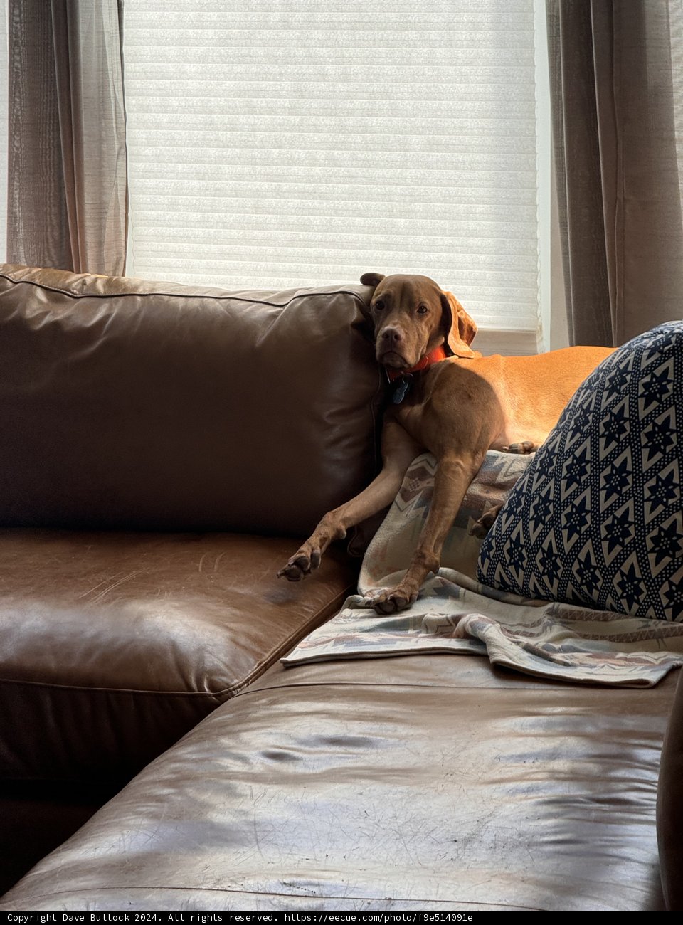 Lazy Afternoon Vibes
