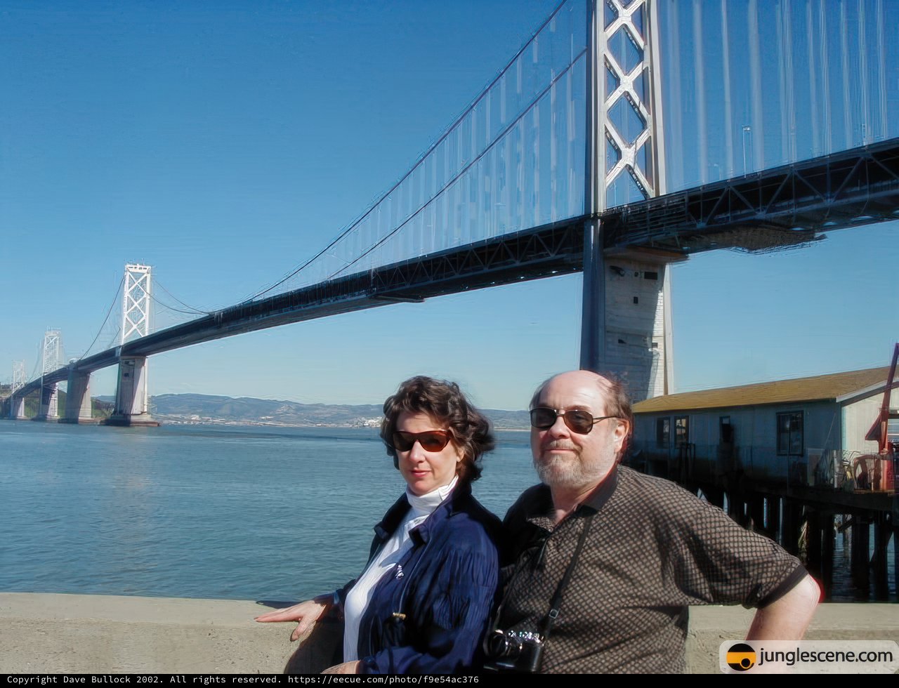 The Bridge and Its Admirers