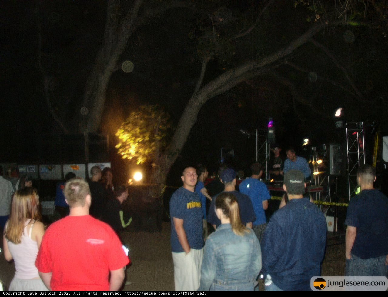 Nighttime Fire Gathering