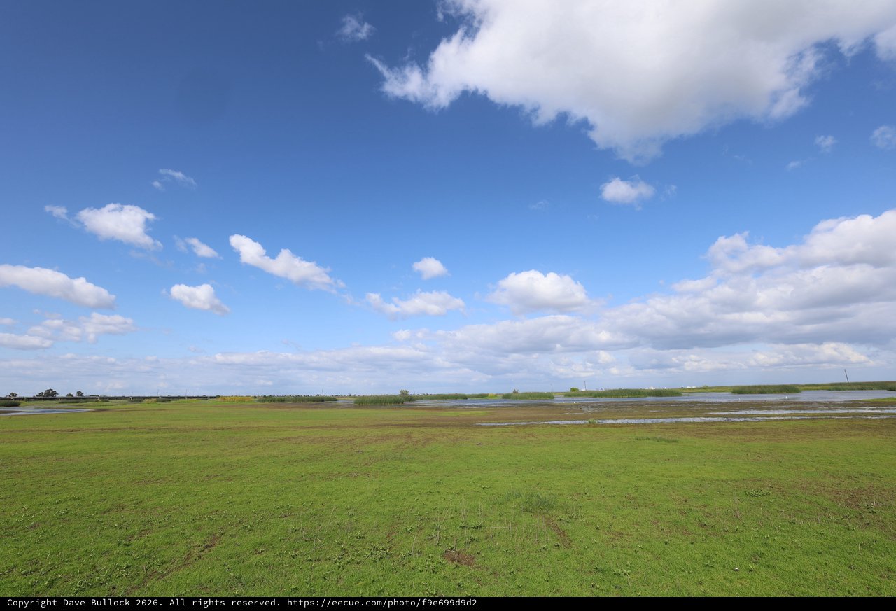 Wetlands Expanse with Flooded Fields Under Spring Sky