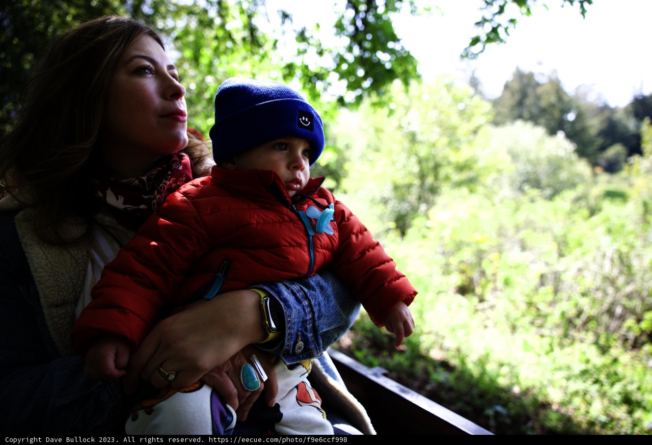 Cherished Moments at Tilden Regional Park