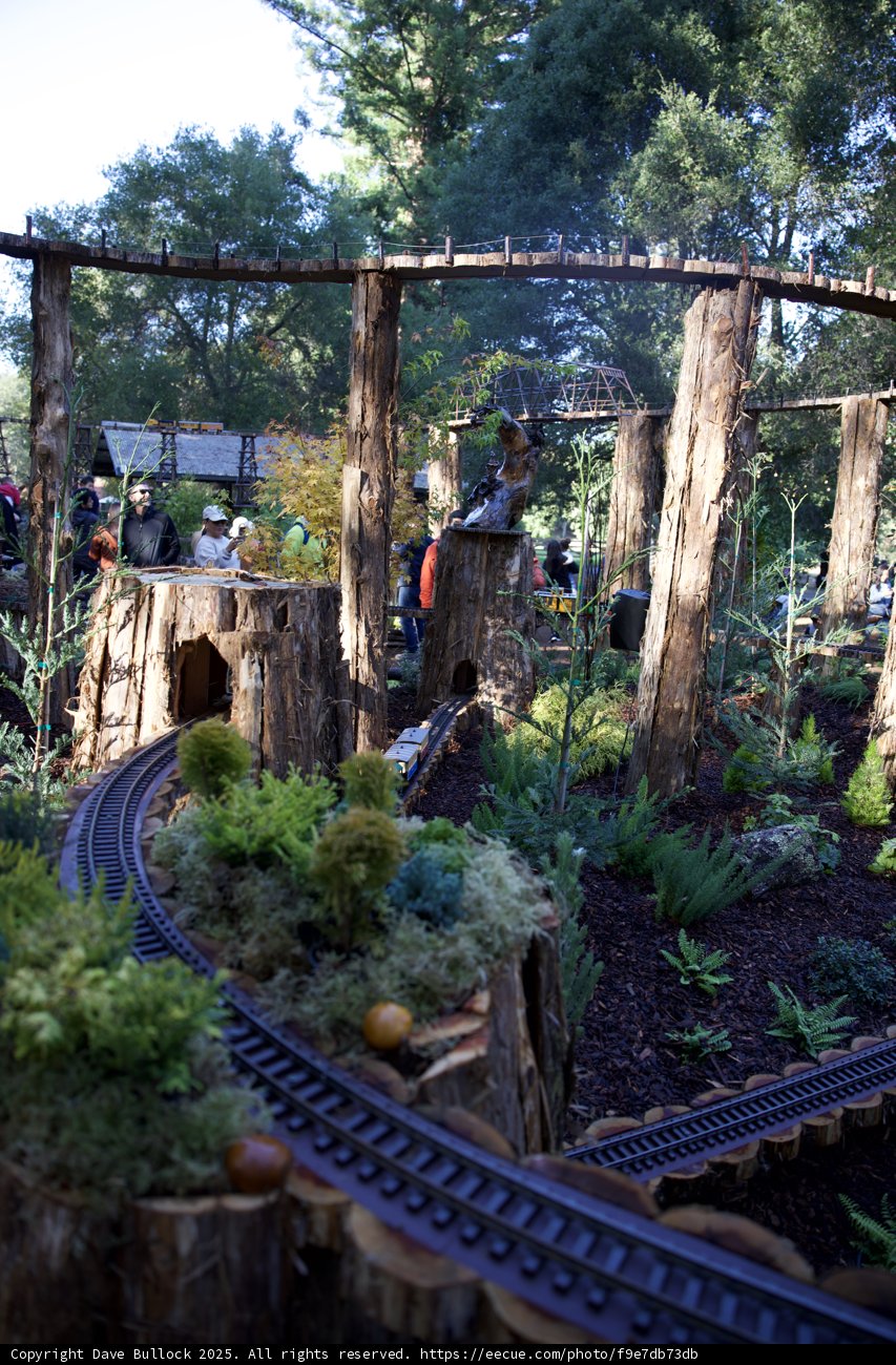 Enchanted Railway in Nature's Embrace