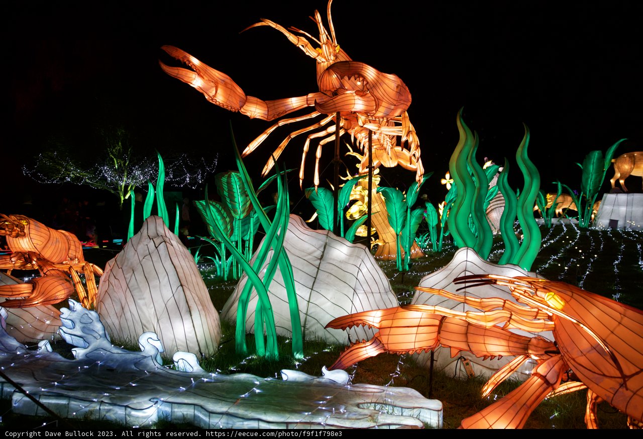 Night Time Brilliance at Glowfari 2023