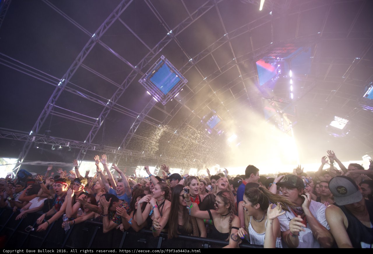Coachella Crowd