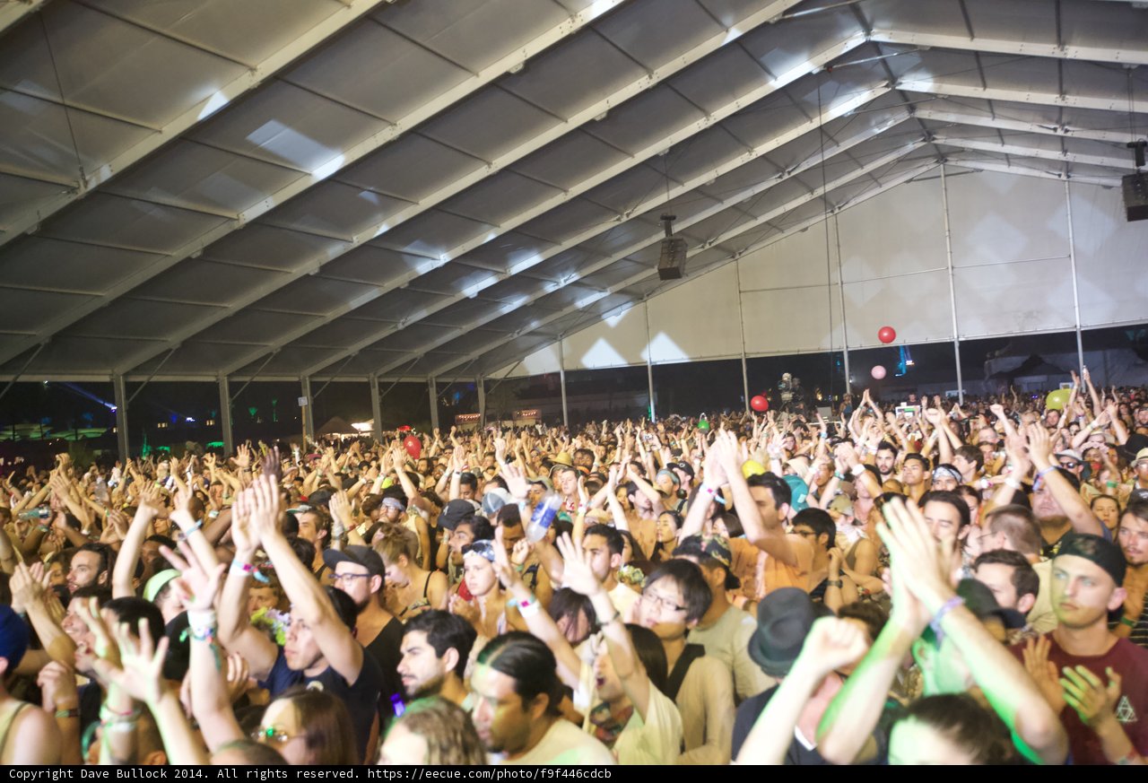 Crowd Goes Wild