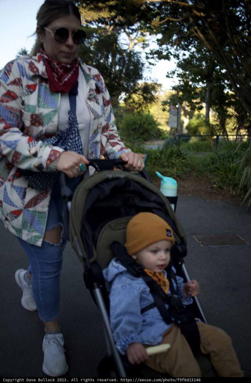 A Stroll in the Park - SF Zoo, November 2023