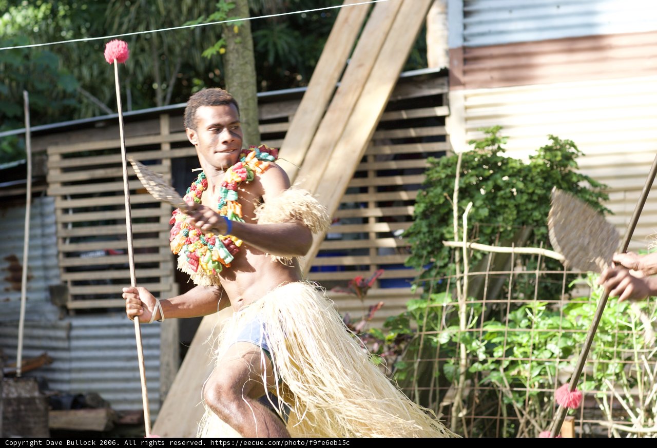 Traditional Hula Dance Performer