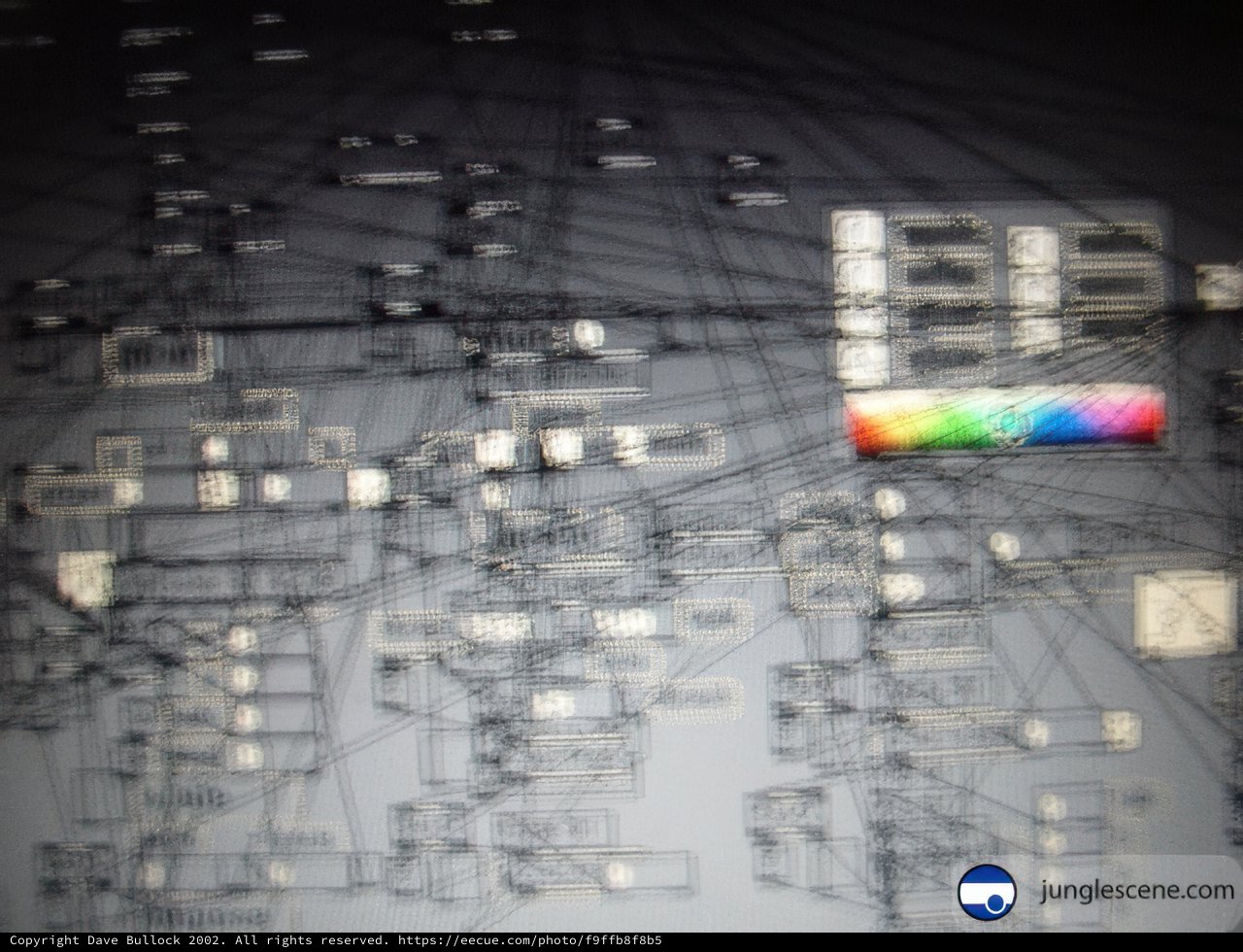 Colorful Diagram on a Computer Screen