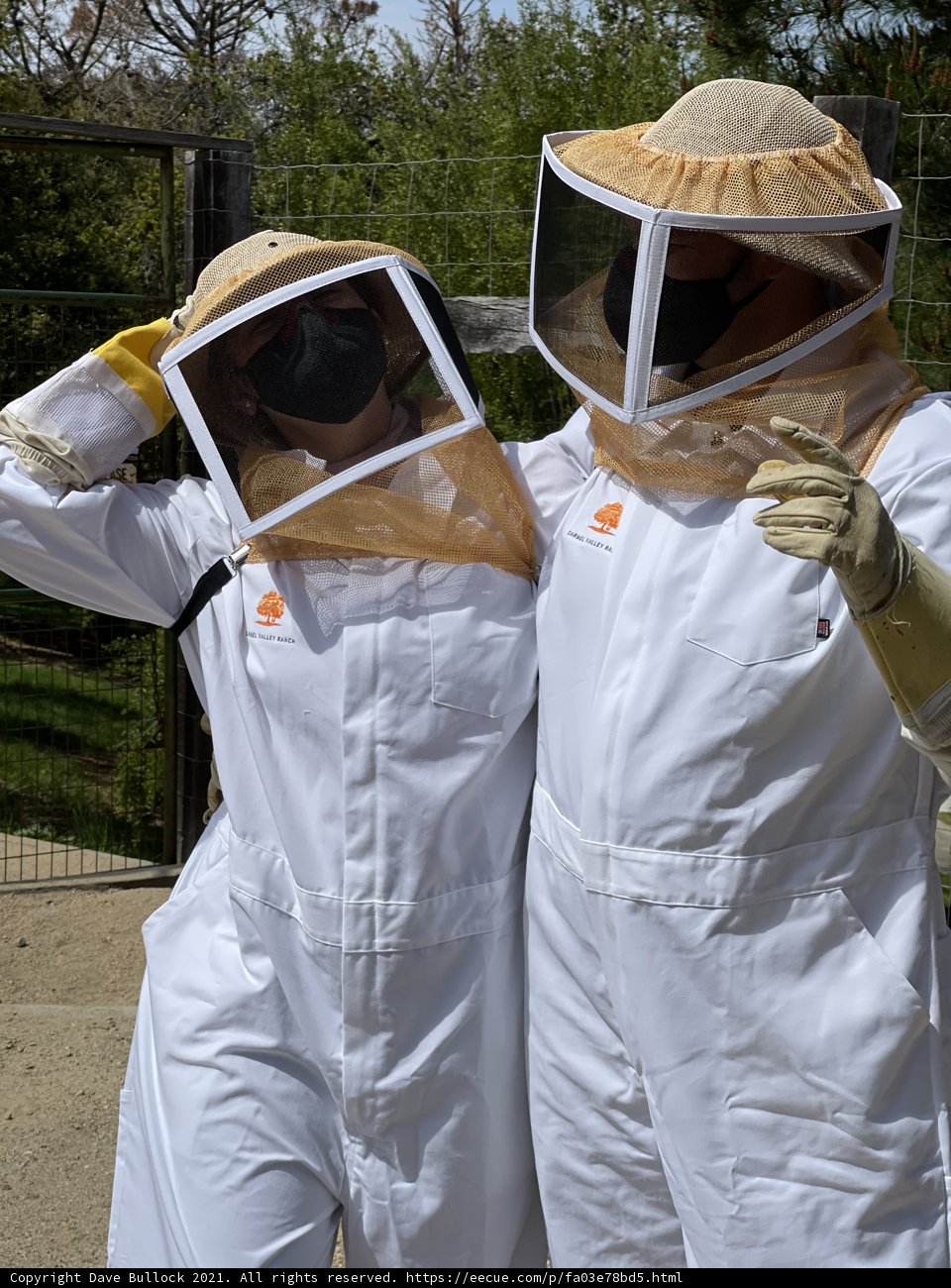 Busy Beekeepers