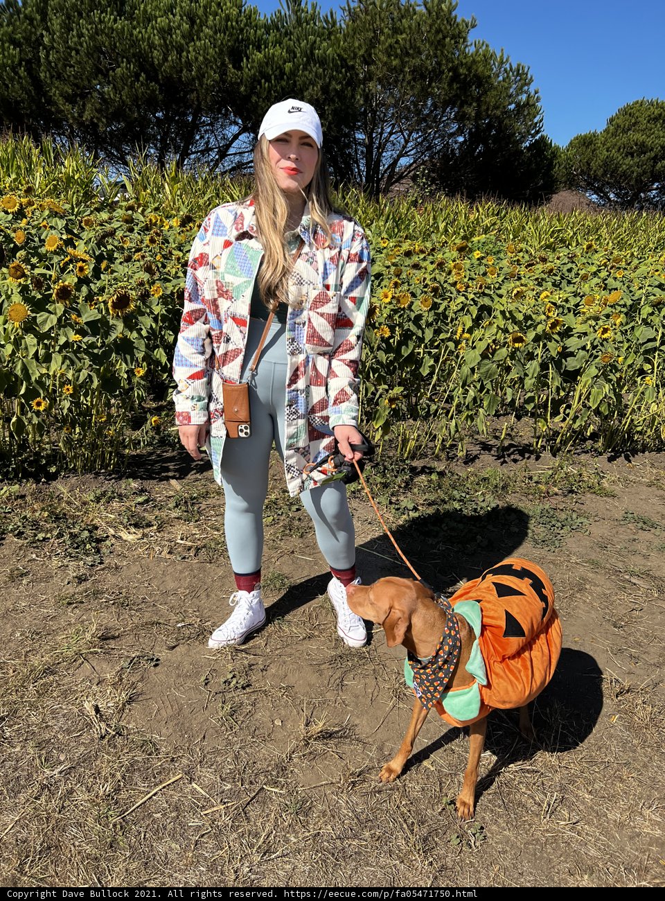 A Walk in the Fields with My Furry Co-Pilot