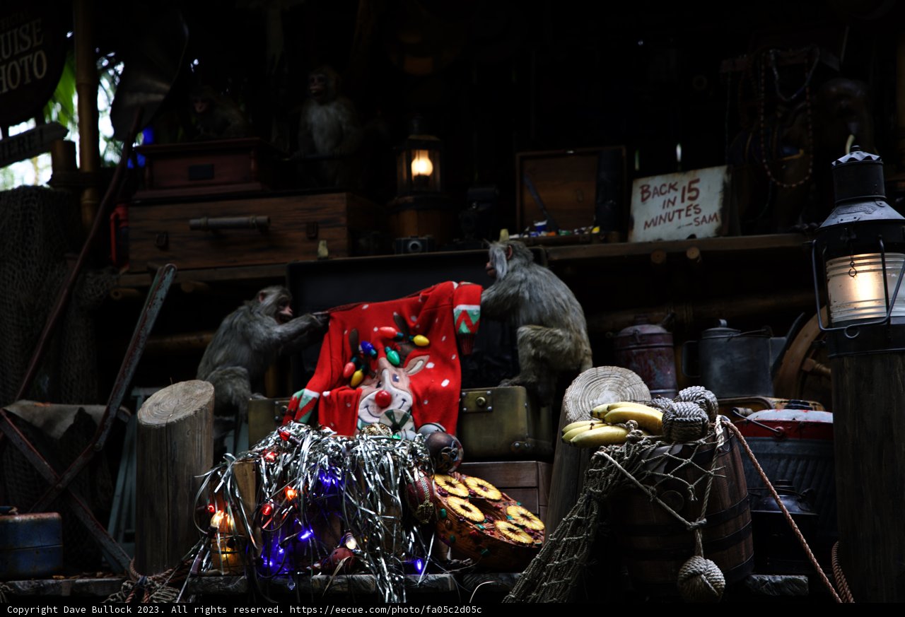 Monkey Business at Disneyland