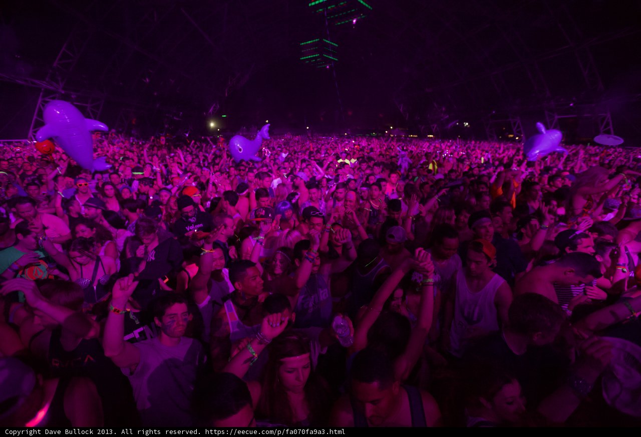 Purple Haze at Coachella