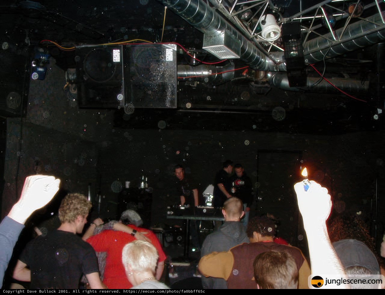 Electric Nightlife at Koncrete Jungle