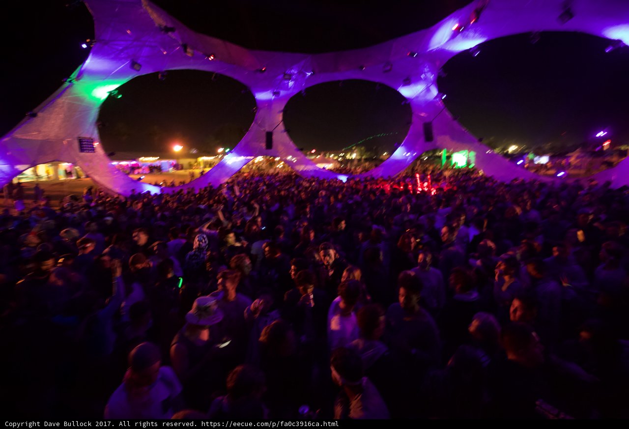 Purple Haze at Coachella