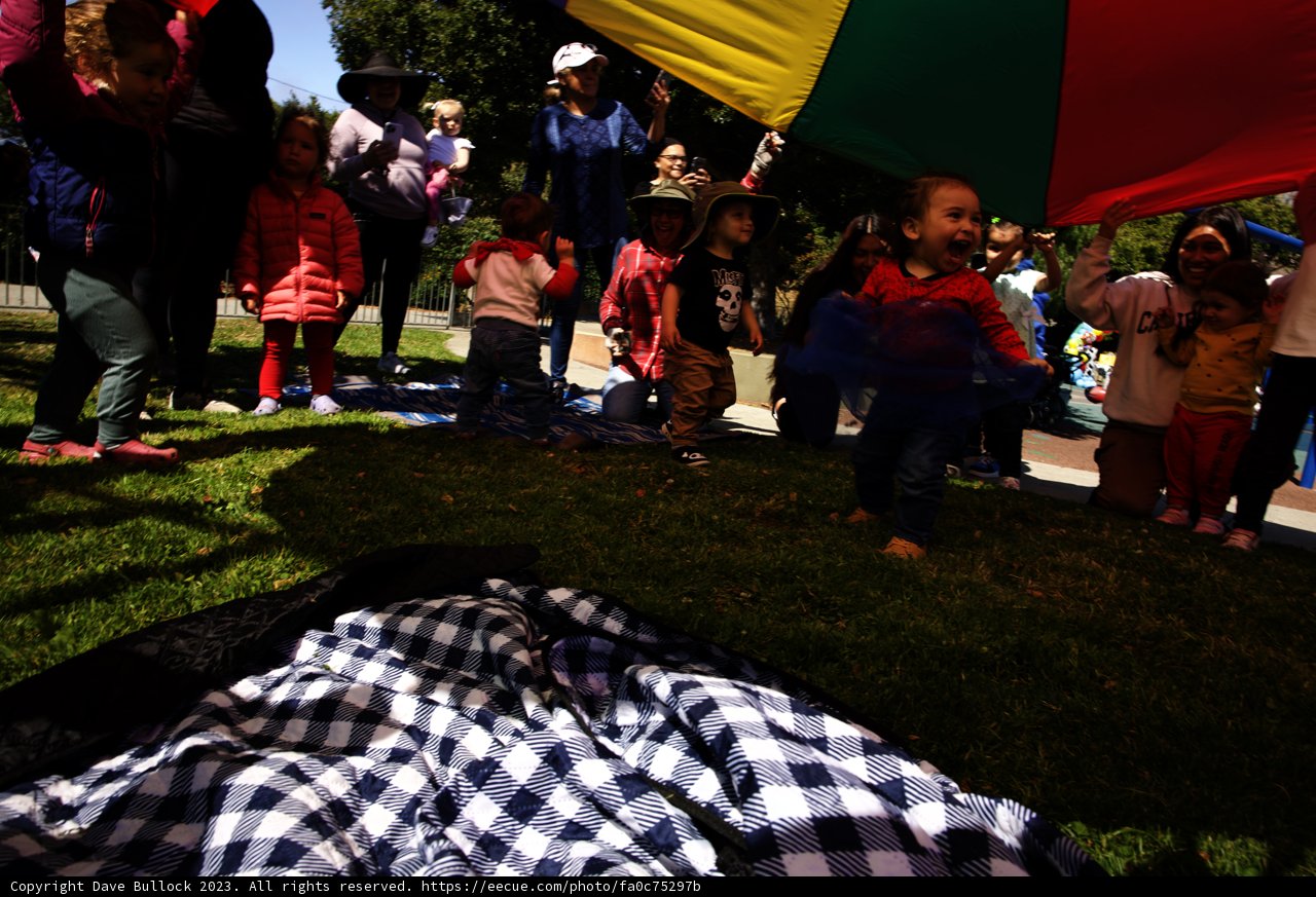 Wesley's First Birthday - Picnic Under The Colorful Canopy