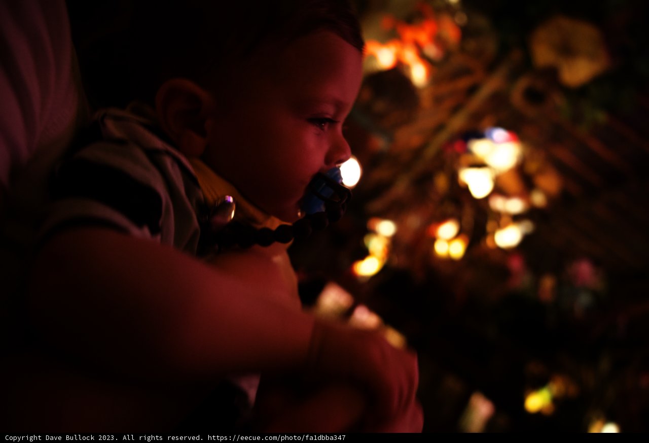 Little Explorer at Disneyland