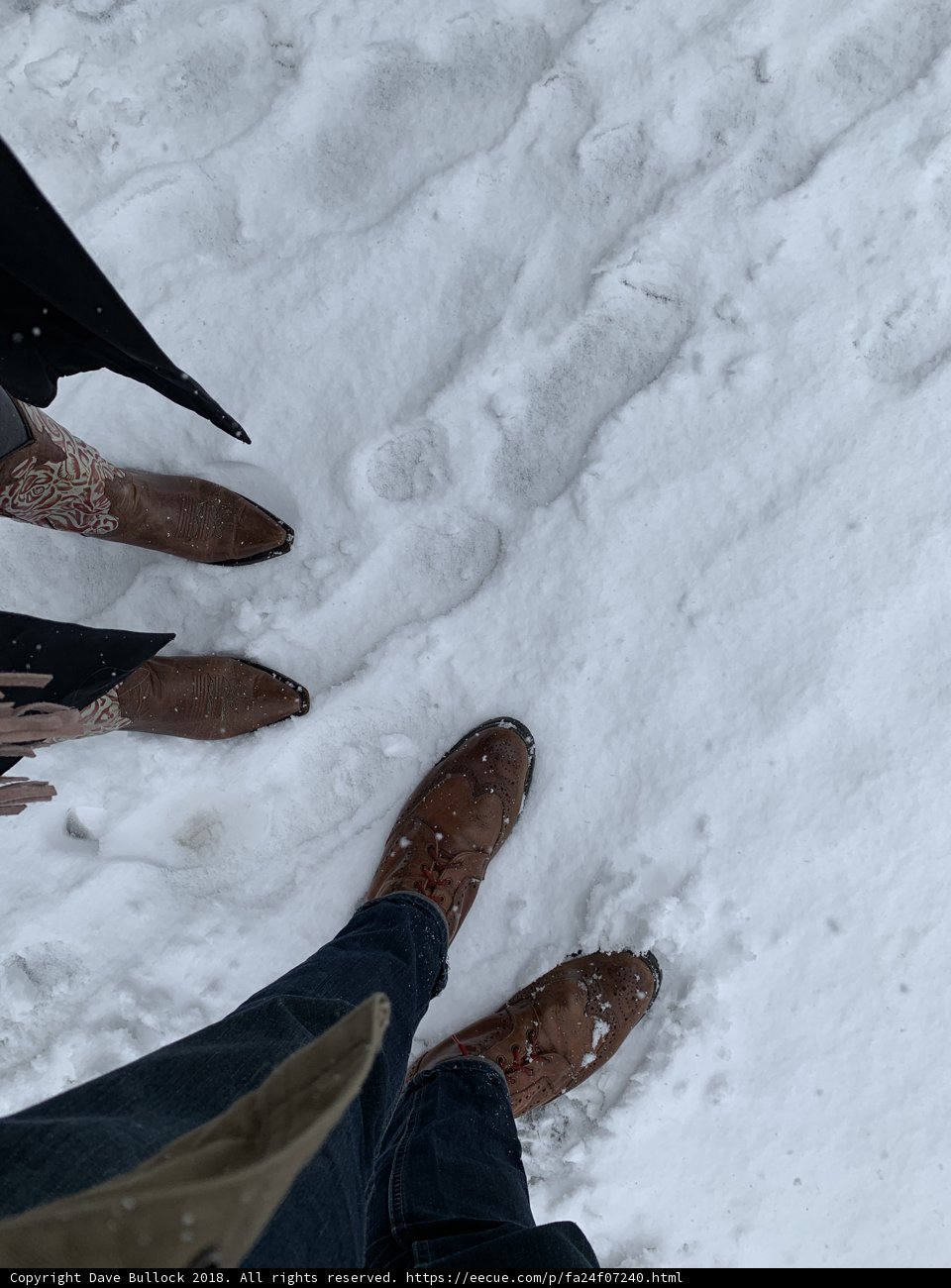 Winter Wonderland