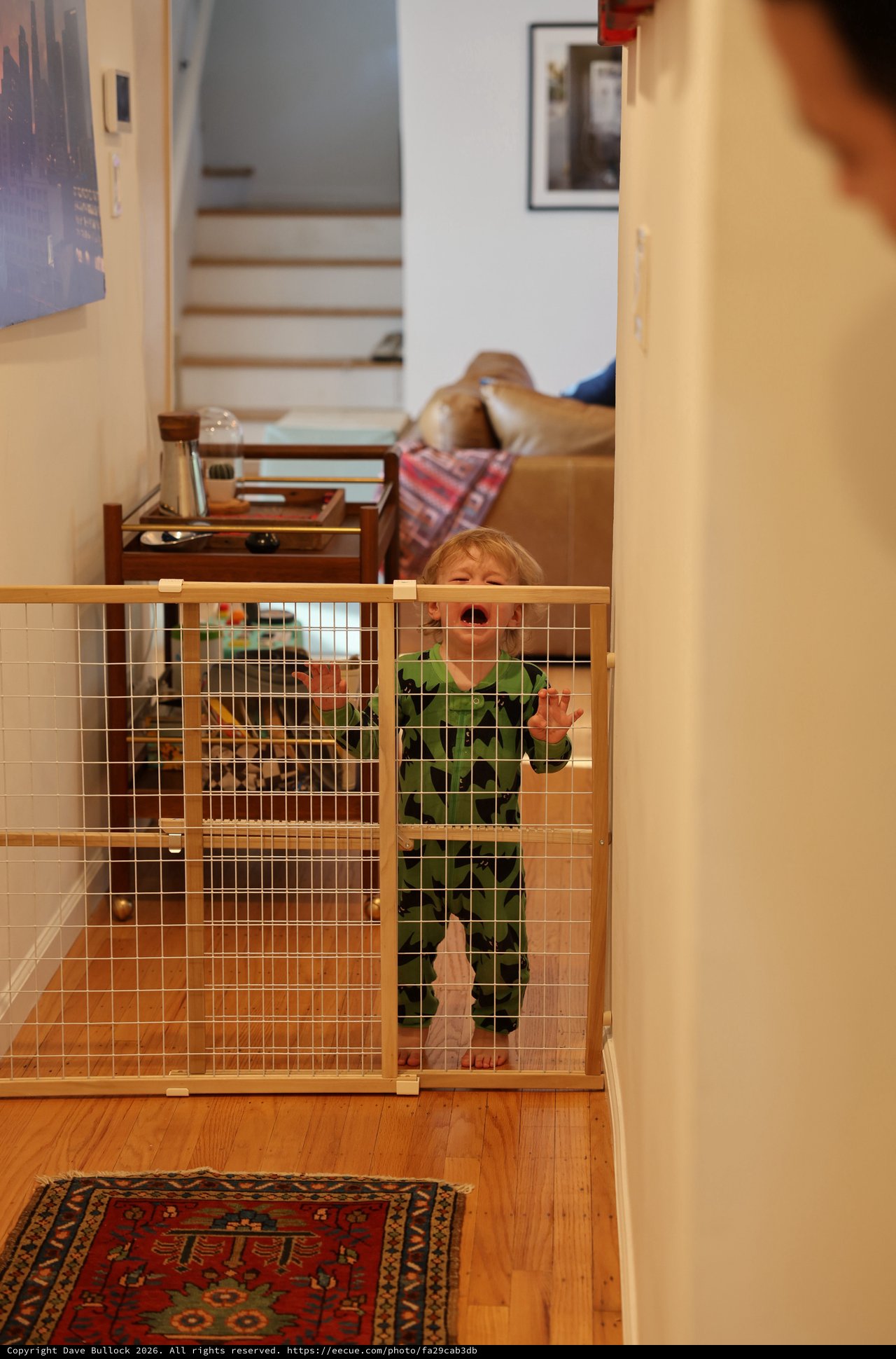 Toddler Behind Safety Gate at Home