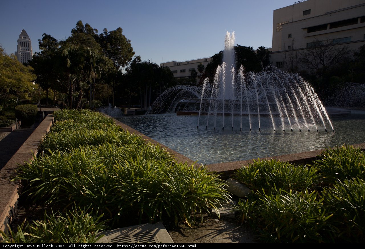 Serenity in the Park