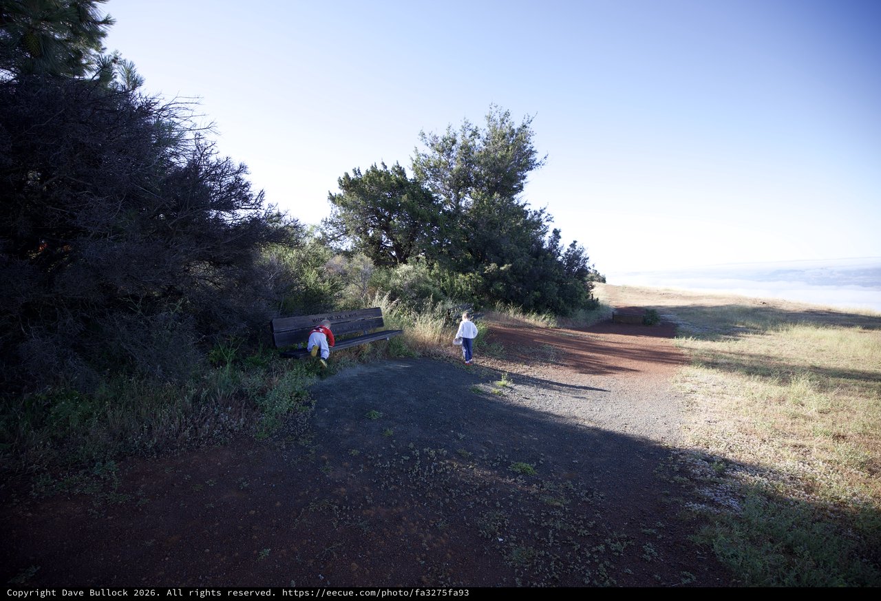 Hikers Exploring a Sunlit Trail at Mount Diablo