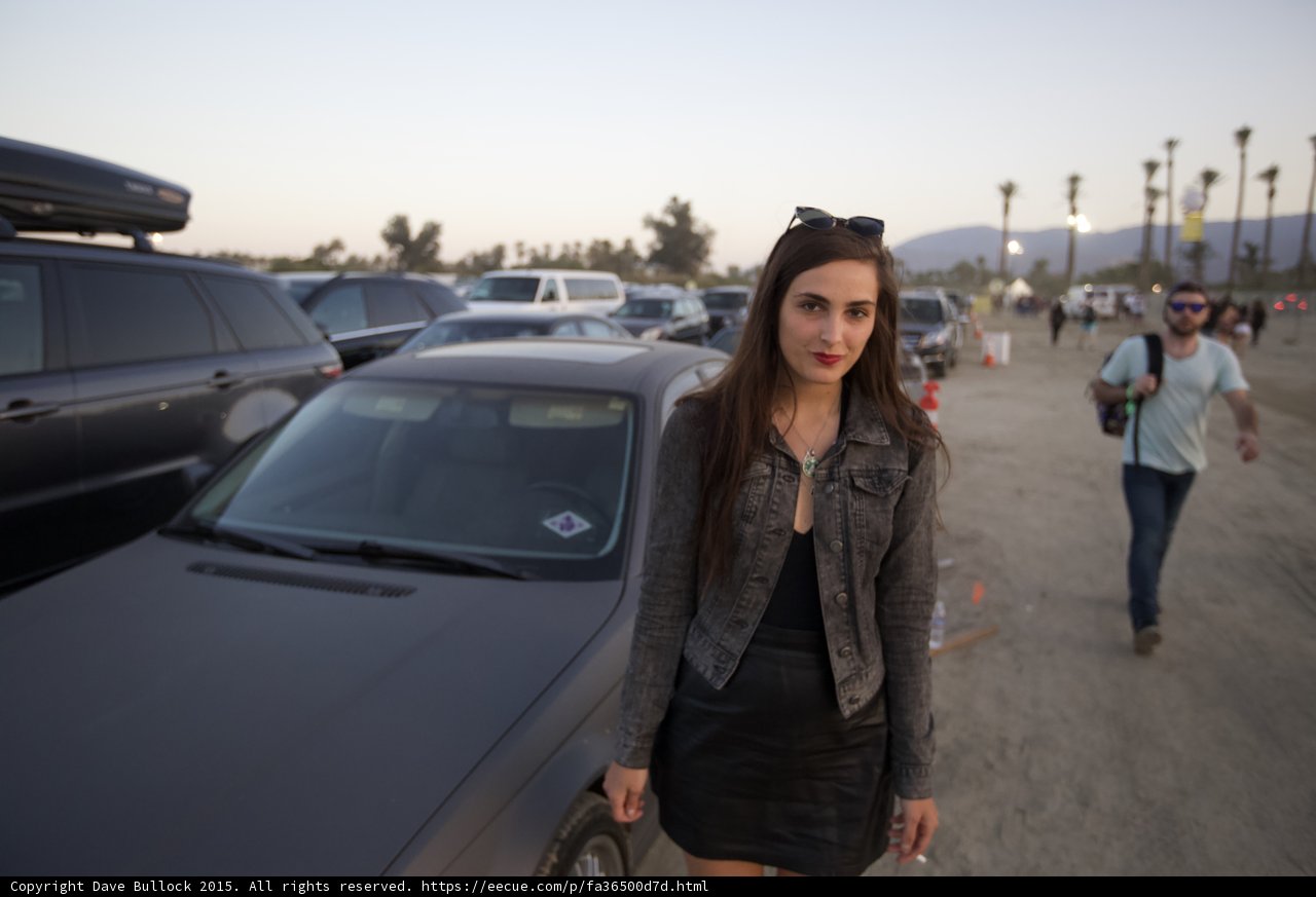 Leather and Cars