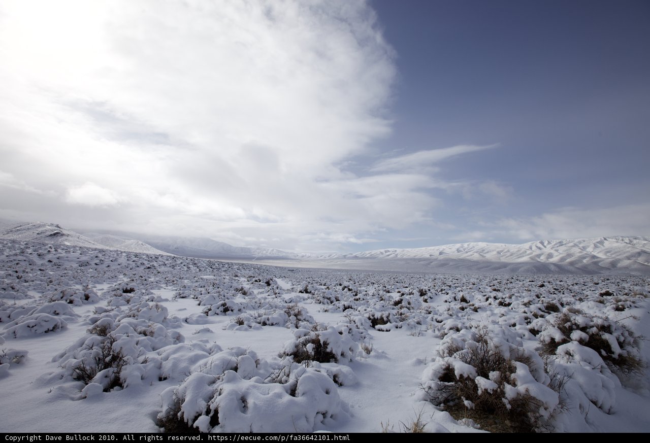 Majestic Winter Wonderland