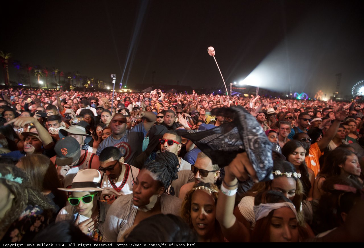 Night of the Festival