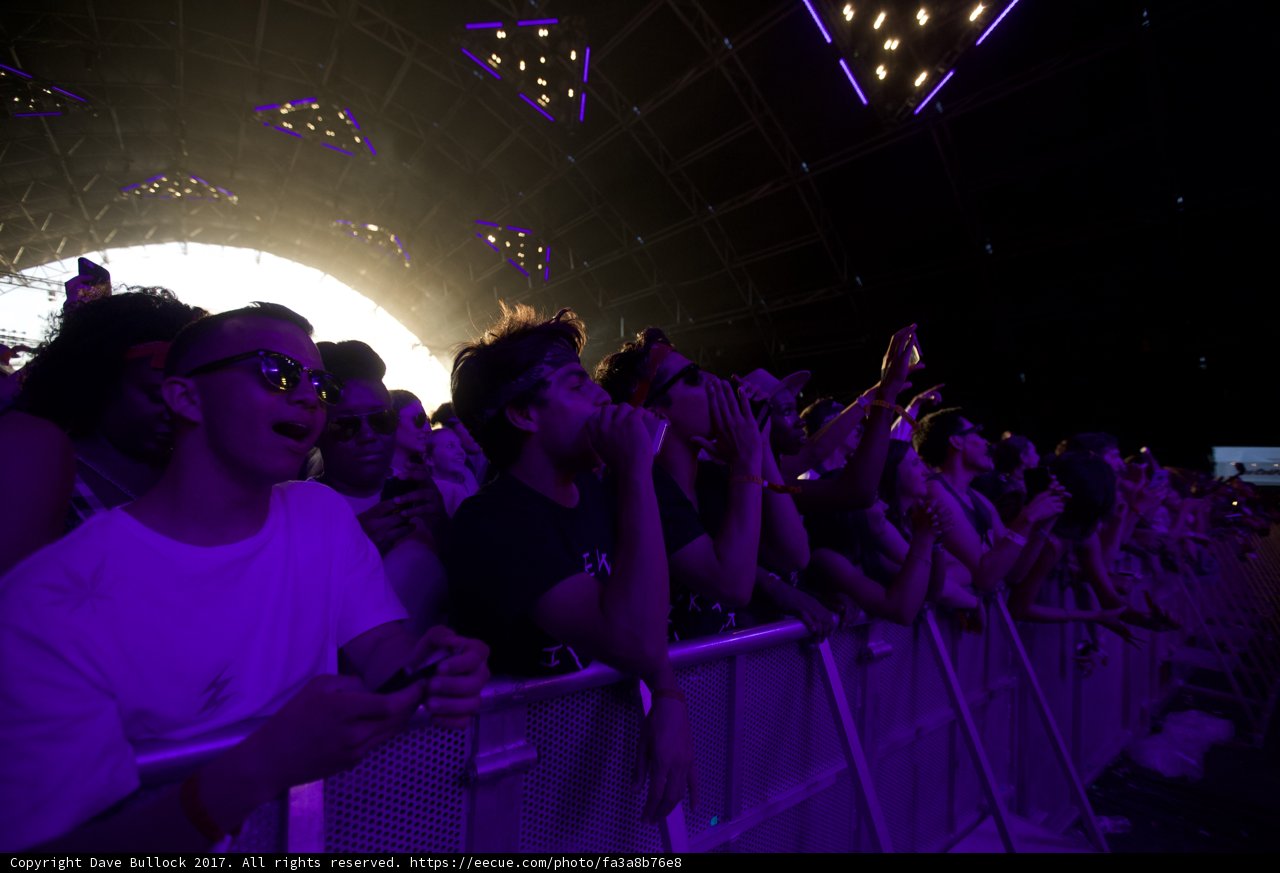 Electric Vibes at Coachella
