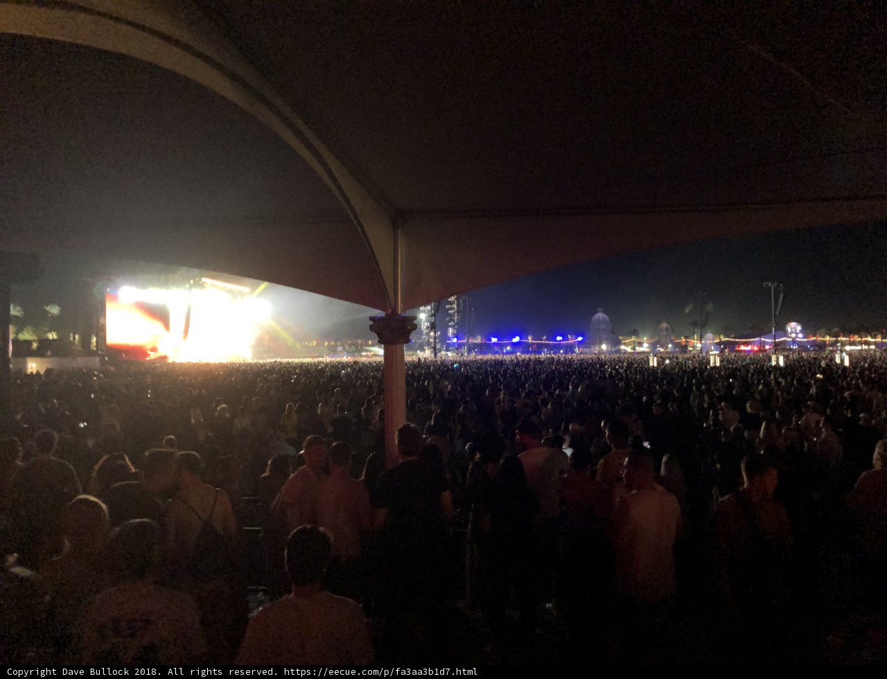 Electric Night: The Concert Crowd