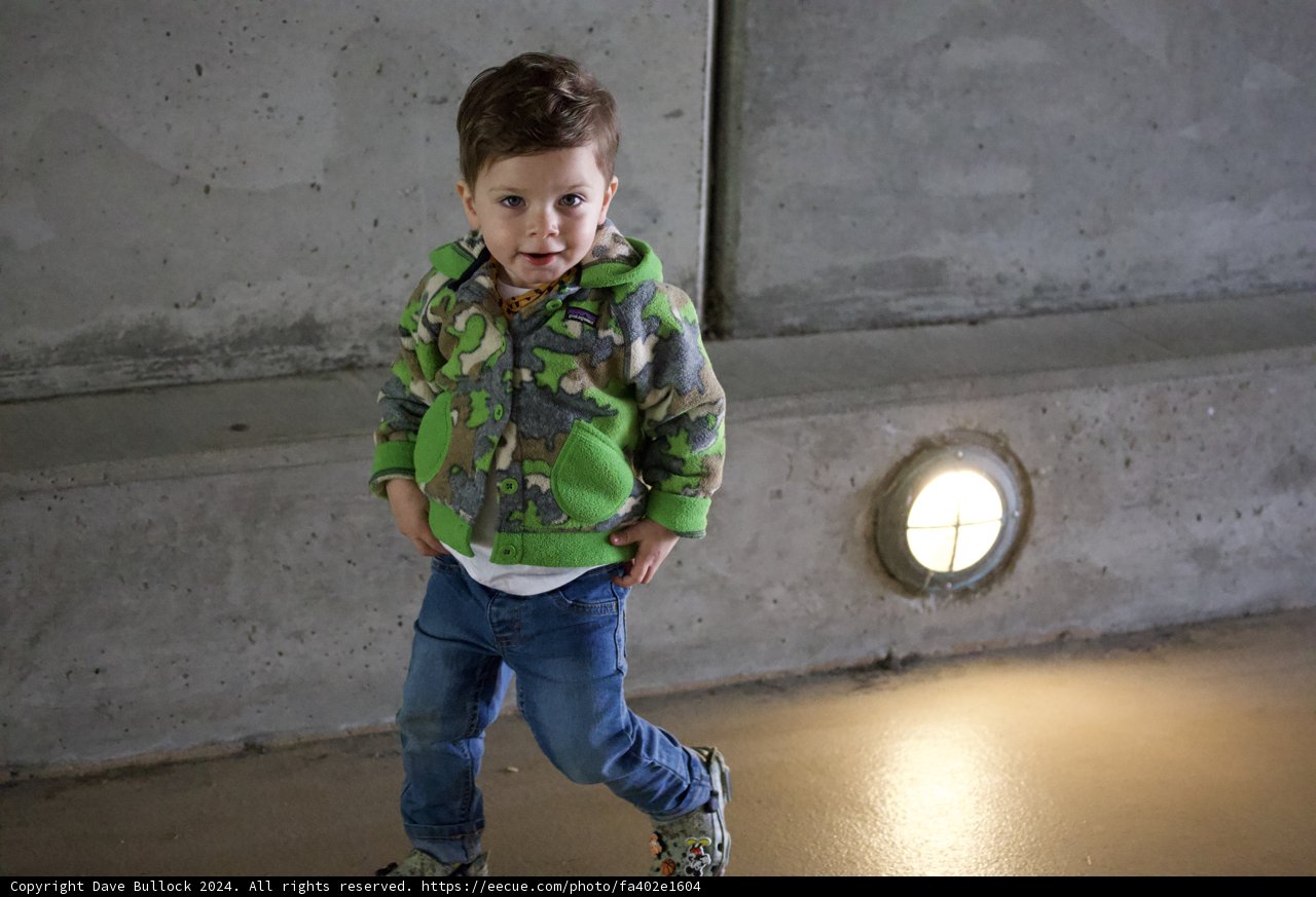 Urban Explorer - SF Zoo Adventure, 2024