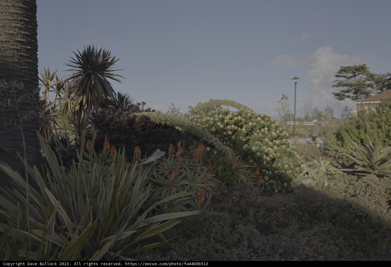Park Oasis