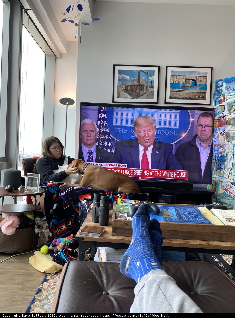 Presidential Television Viewing