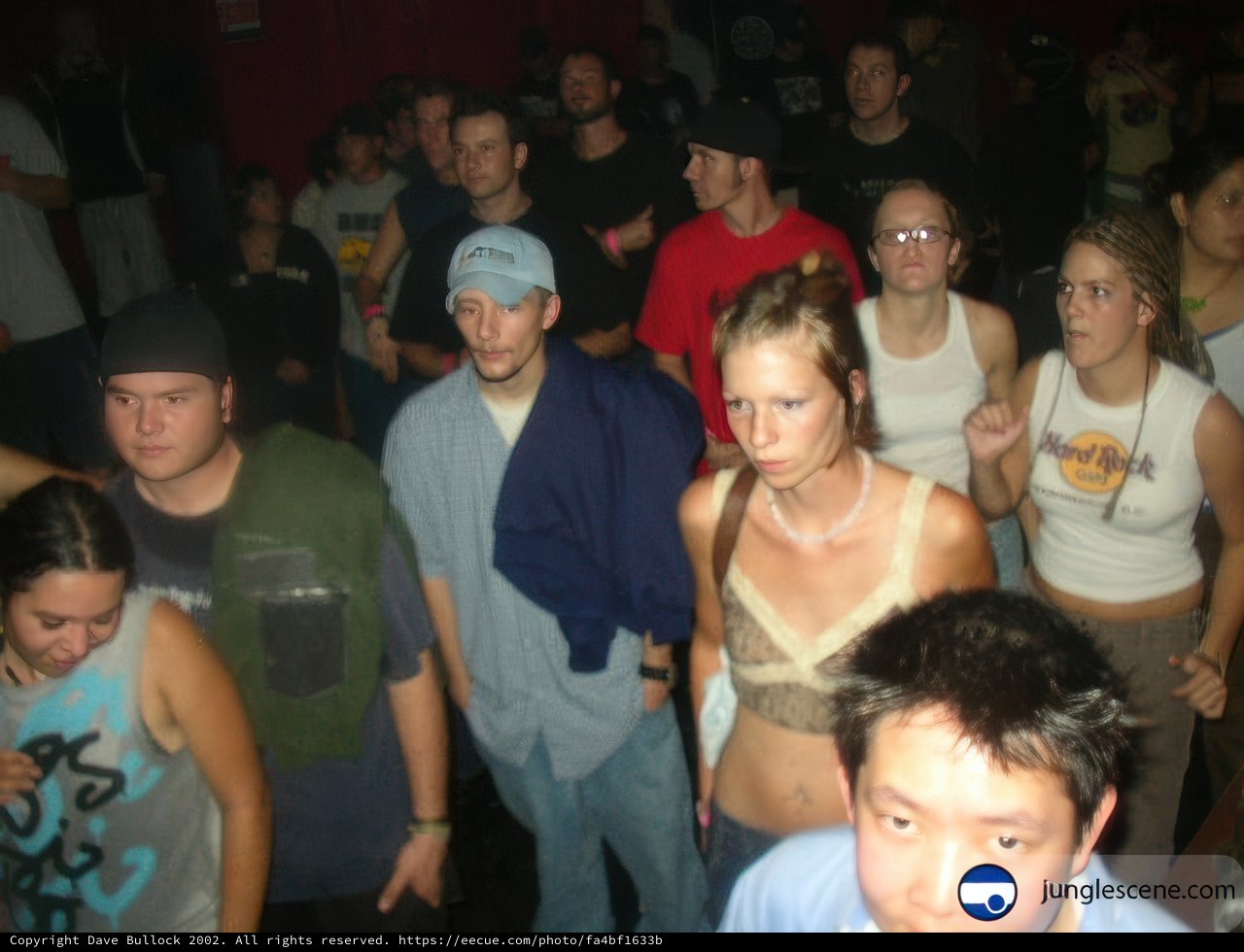 Nightclub Gathering
