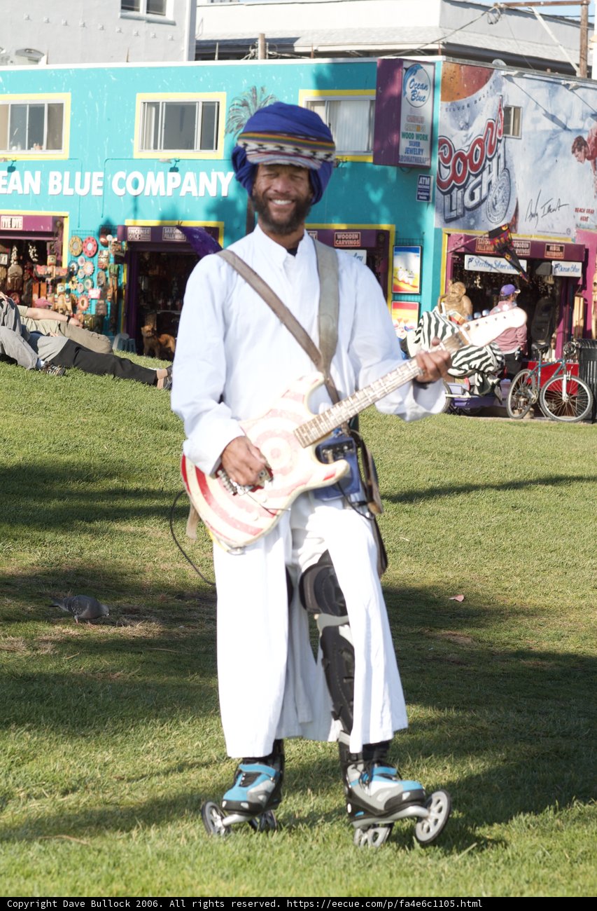 The Guitarist's Serenade
