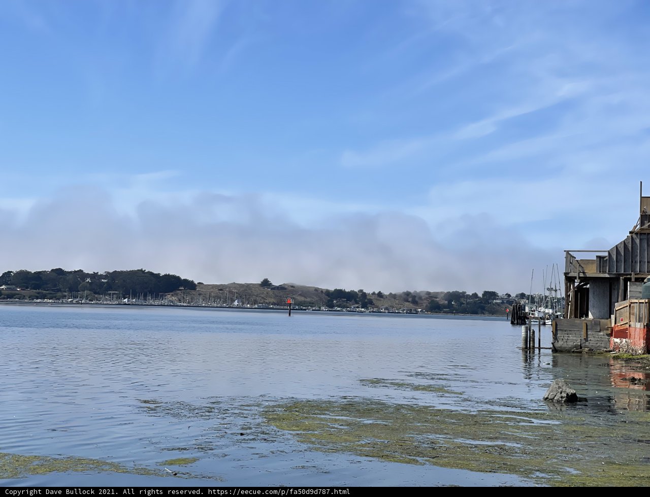 Serene Waterside at Bodega Bay