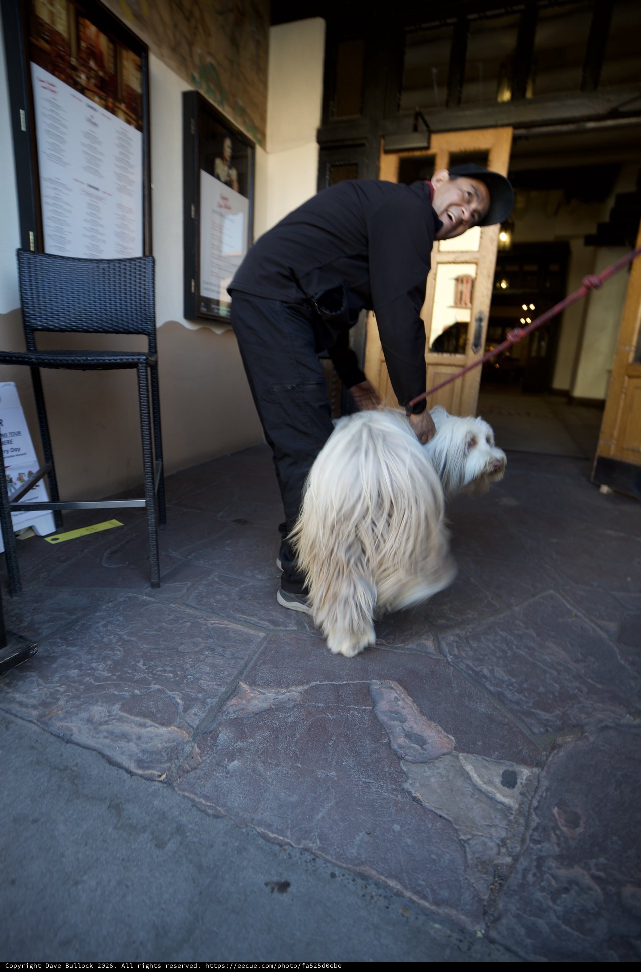 Friendly Encounter with Fluffy Dog Outside Restaurant