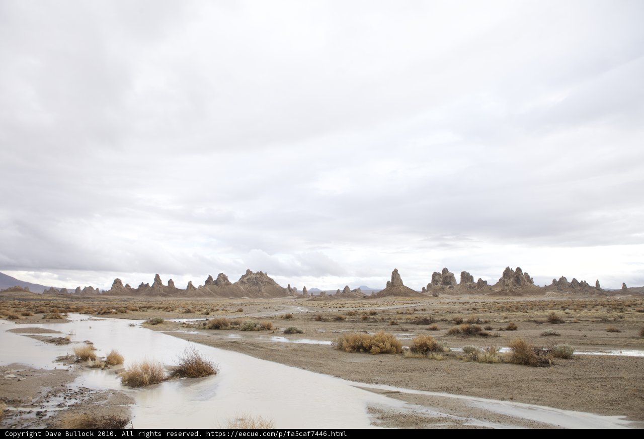 Oasis in the Desert