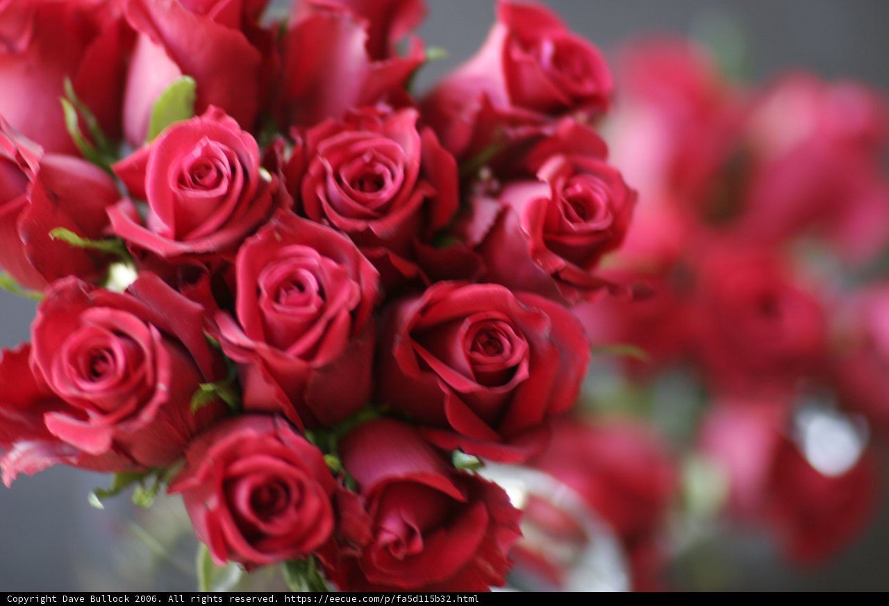 A Bouquet of Love