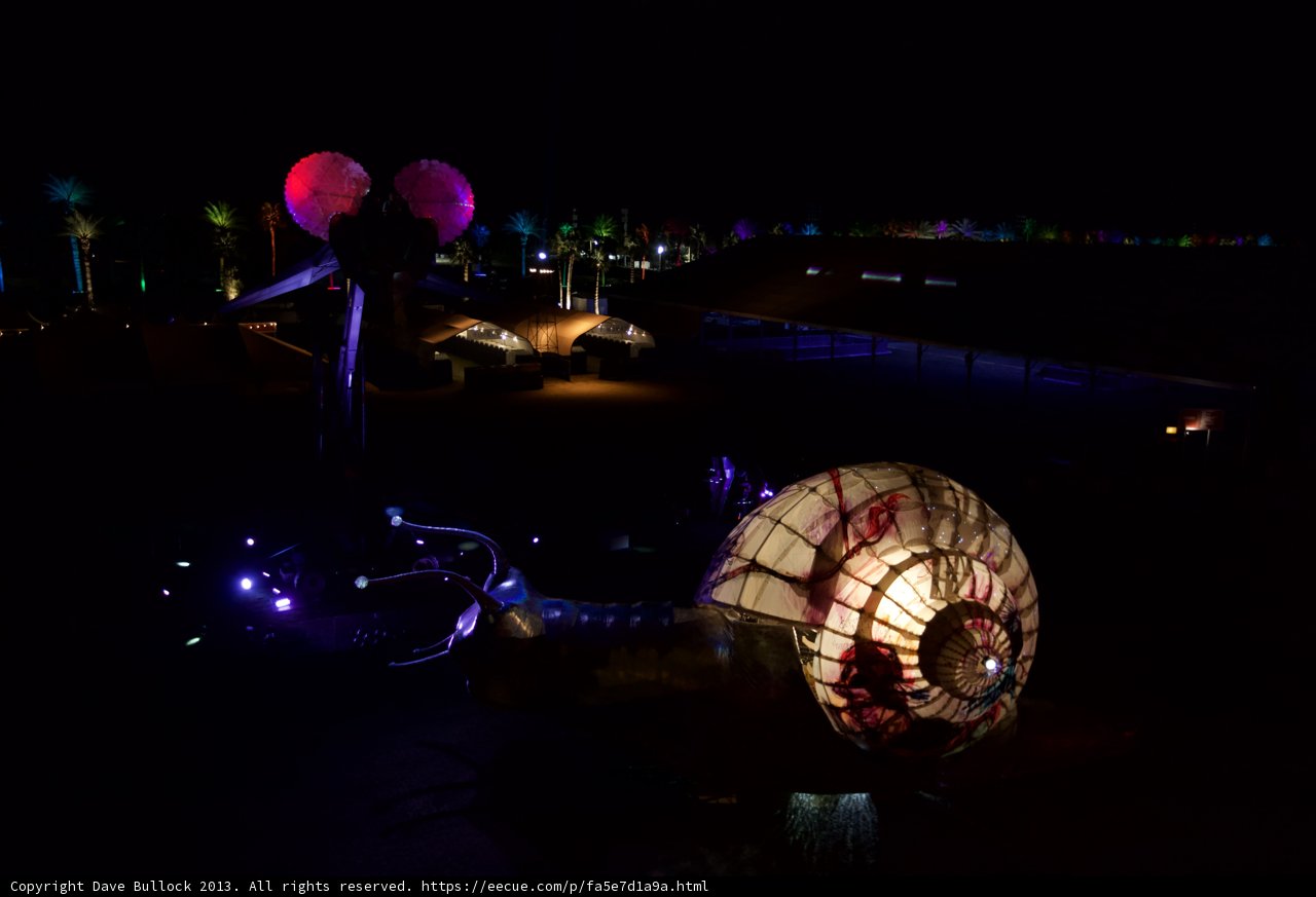 Illuminated Shell Sculpture