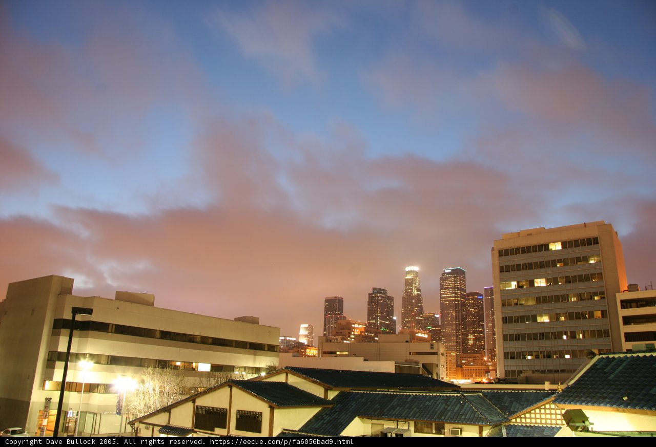 The Urban Metropolis