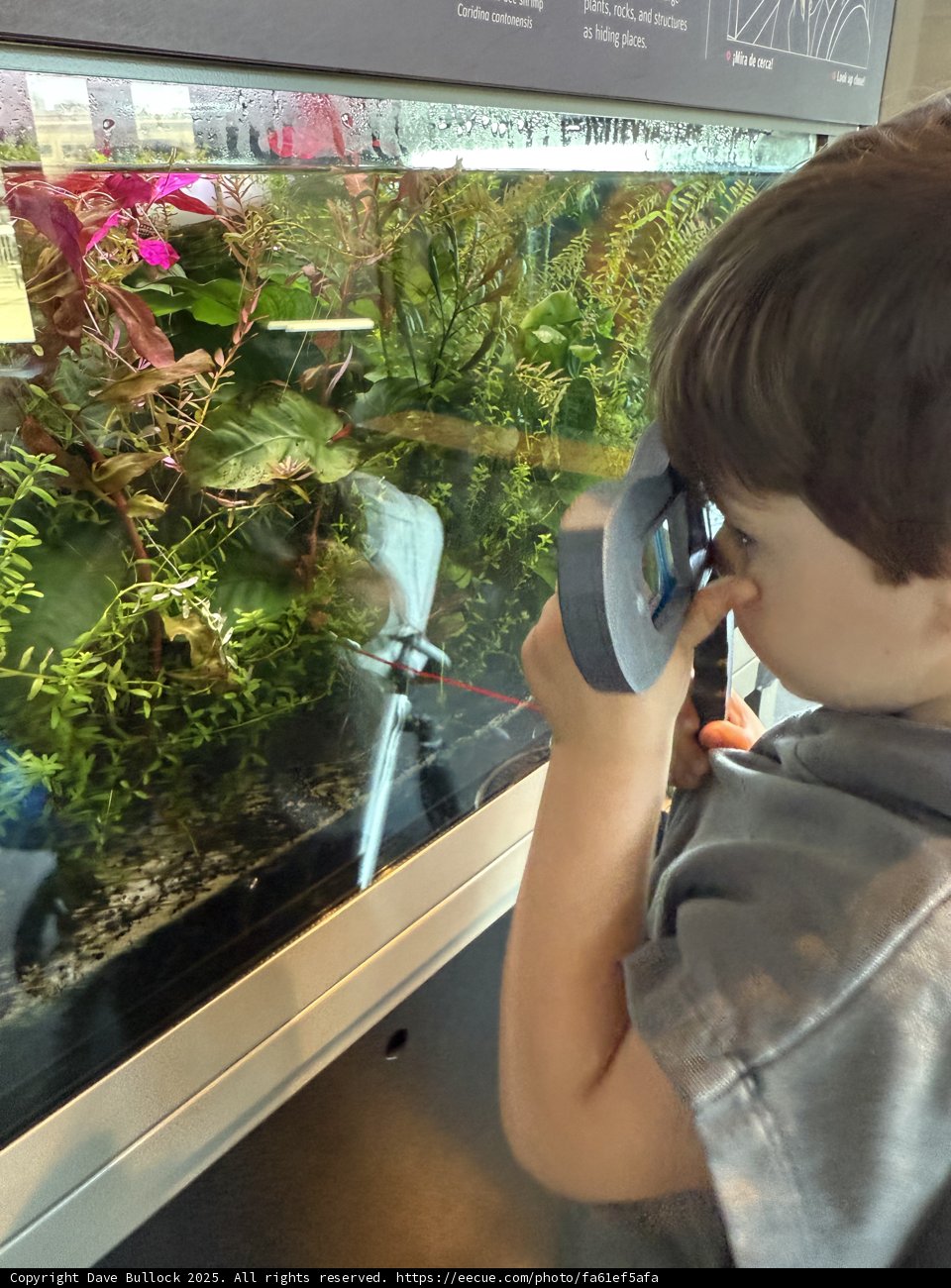 Underwater Exploration