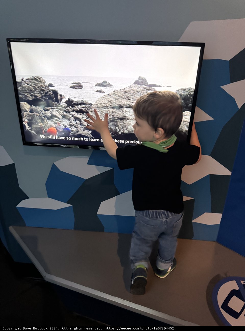 Merging Digital and Natural Worlds: A Young Explorer's Journey