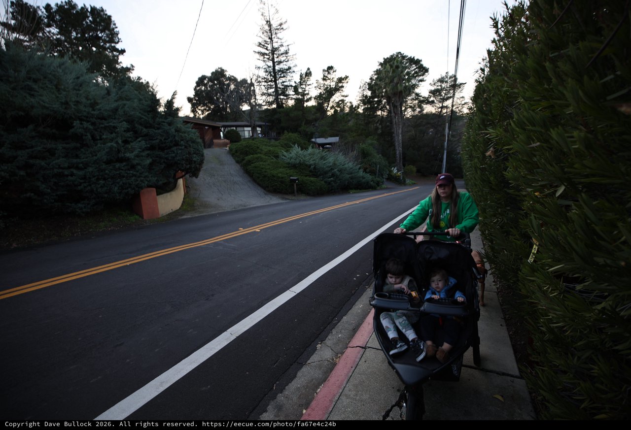 Evening Stroller Walk Through Suburban Neighborhood