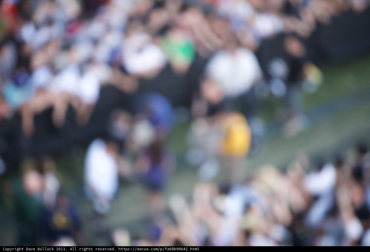 The Frenzy of Coachella 2011