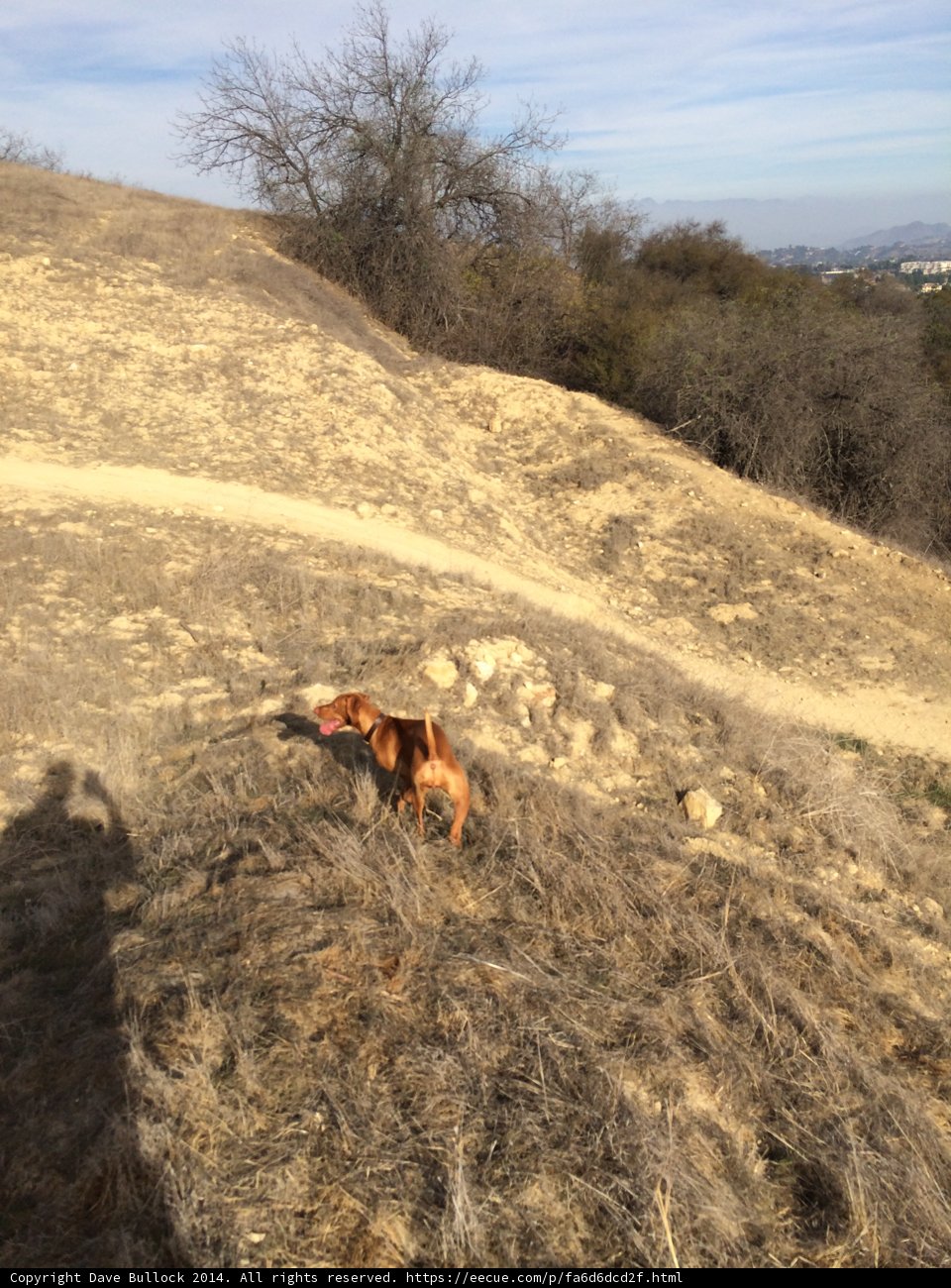 Alone on a Wilderness Adventure