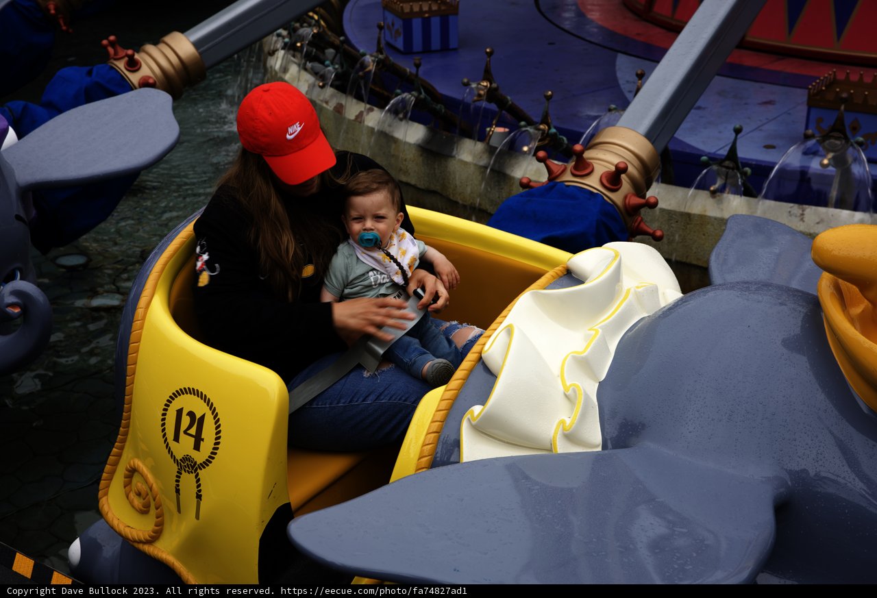Magical Moments at Disneyland