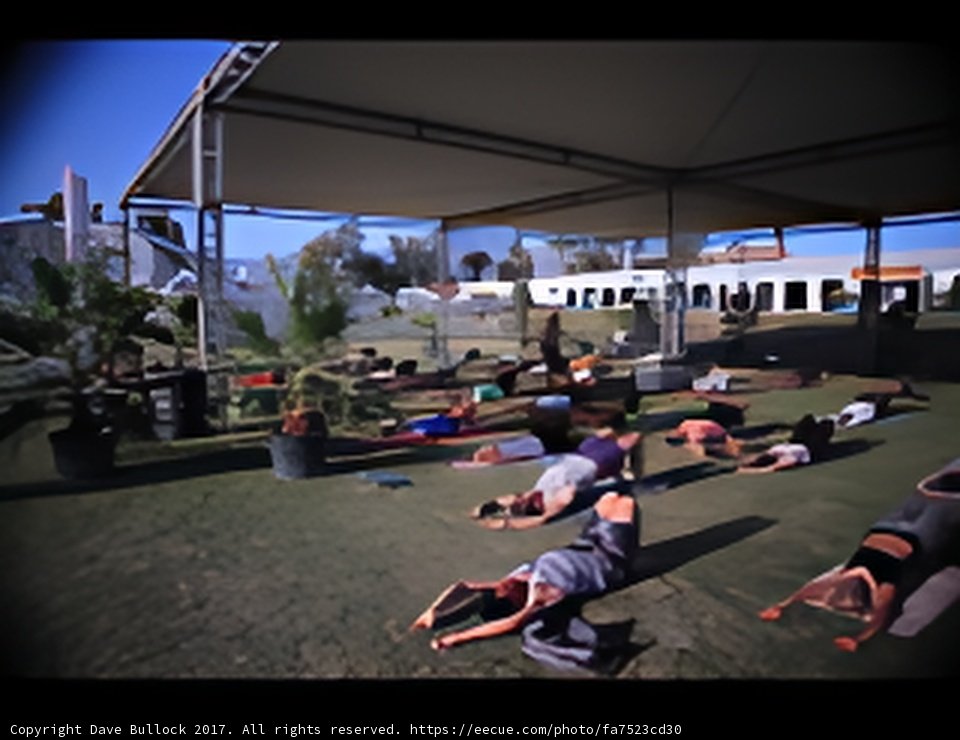 Sun Salutations on the Green Grass