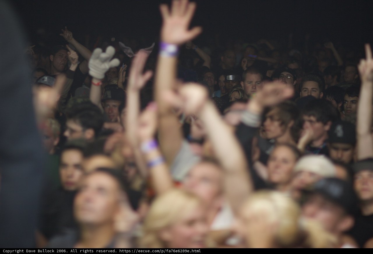 The Ultimate Concert Crowd