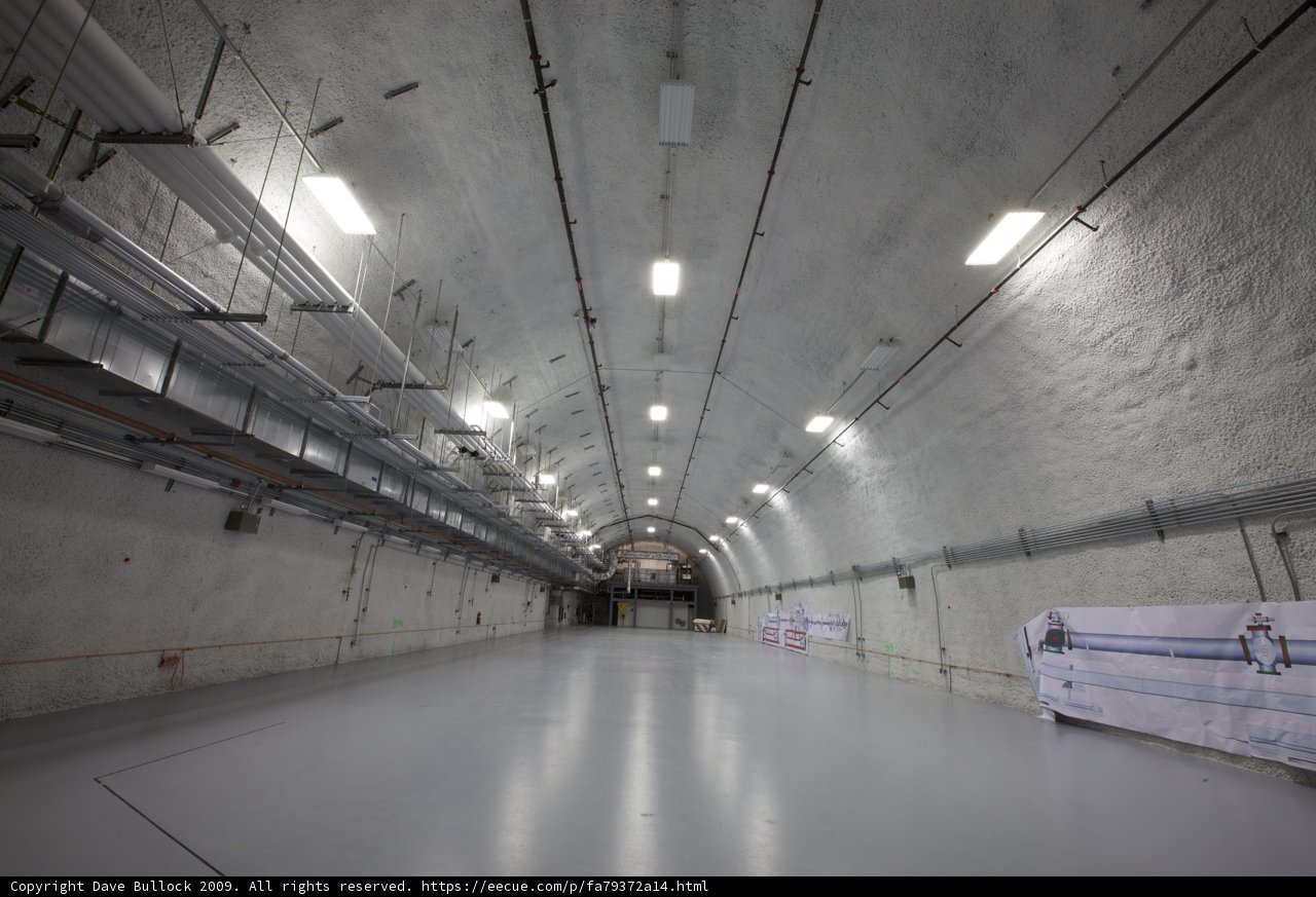 Journey Through the White Tunnel